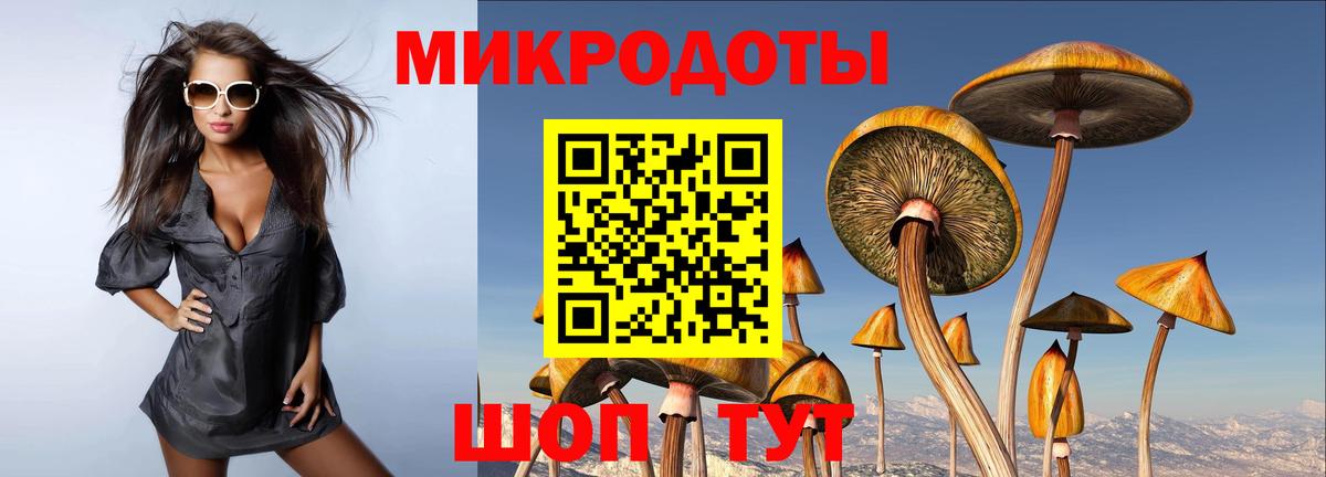 Псилоцибиновые грибы Psilocybine cubensis Кстово