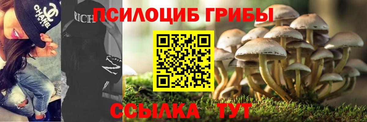 Галлюциногенные грибы Psilocybine cubensis  Вход с VPN  Кстово  дарнет шоп  Псилоцибиновые грибы GOLDEN TEACHER 